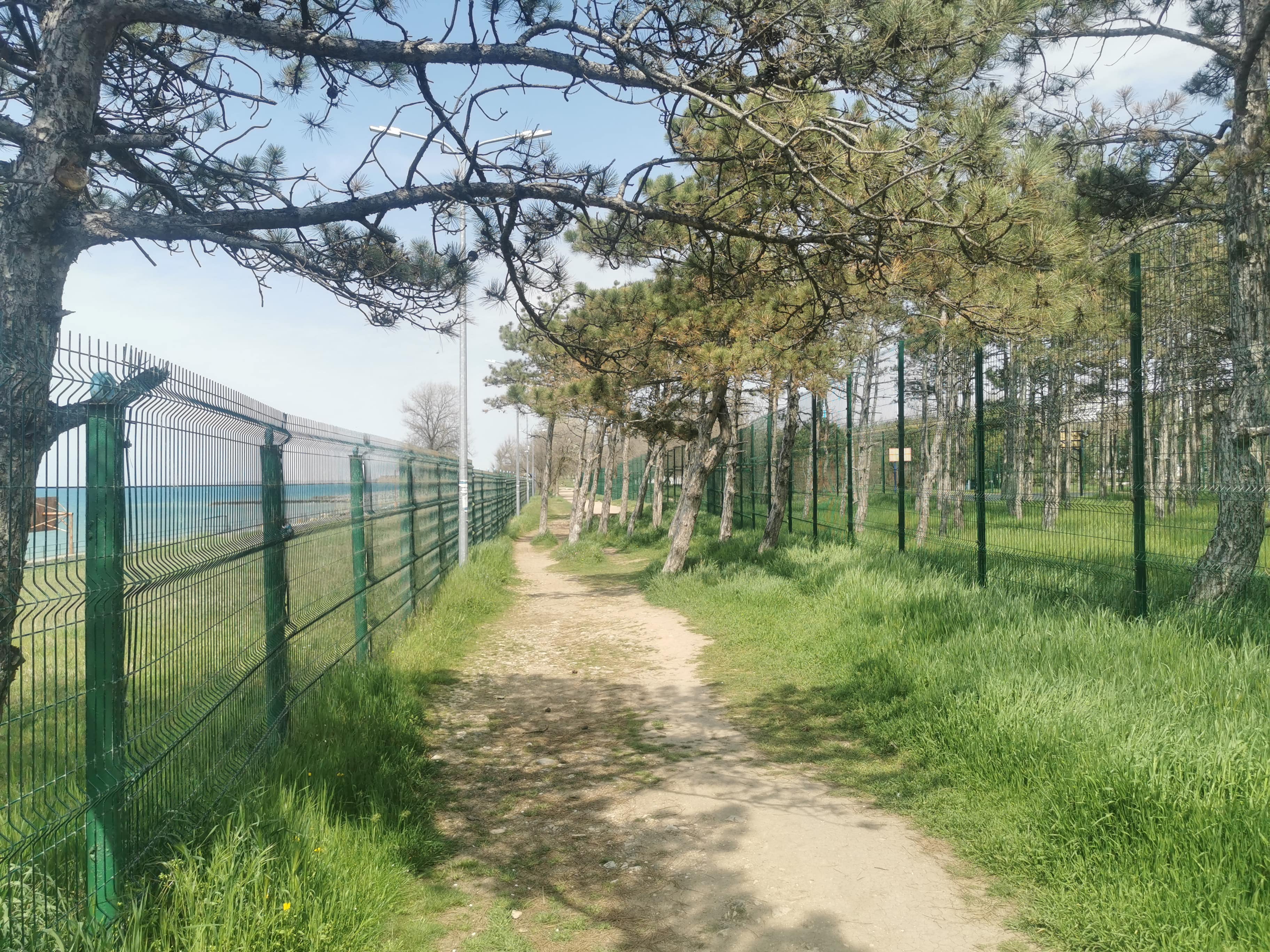 песчаное прокат самокатов