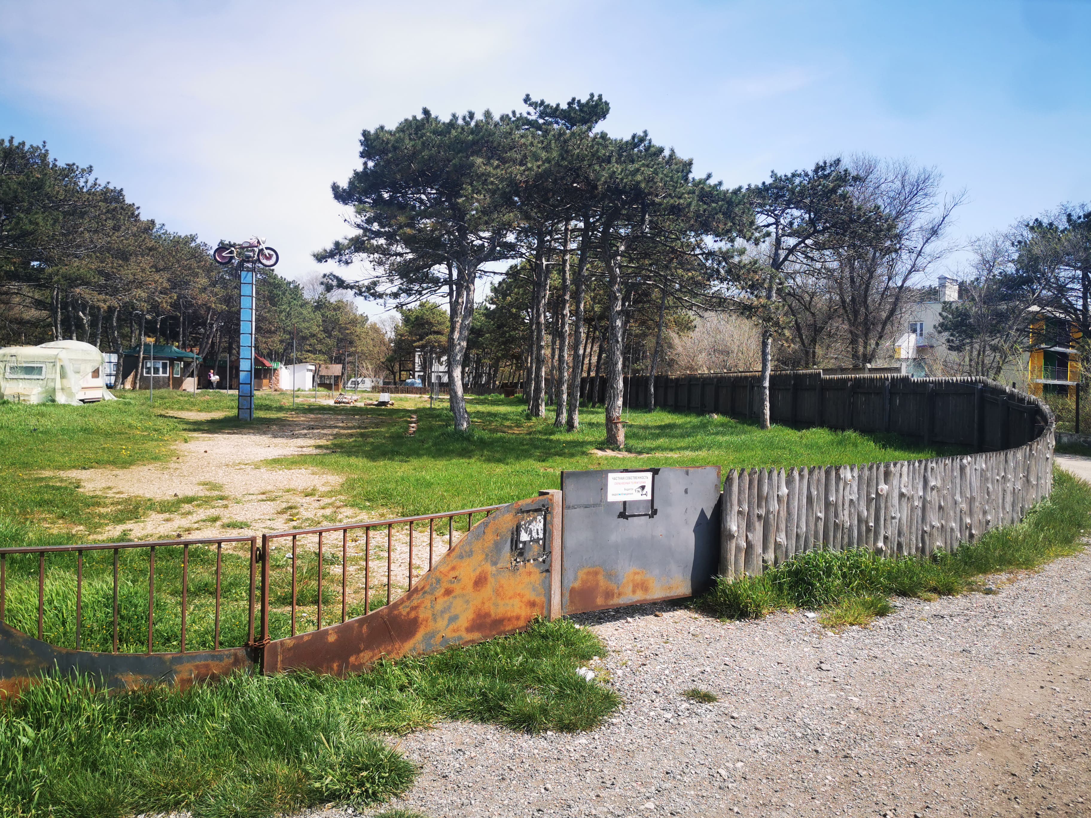 песчаное сосновый бор