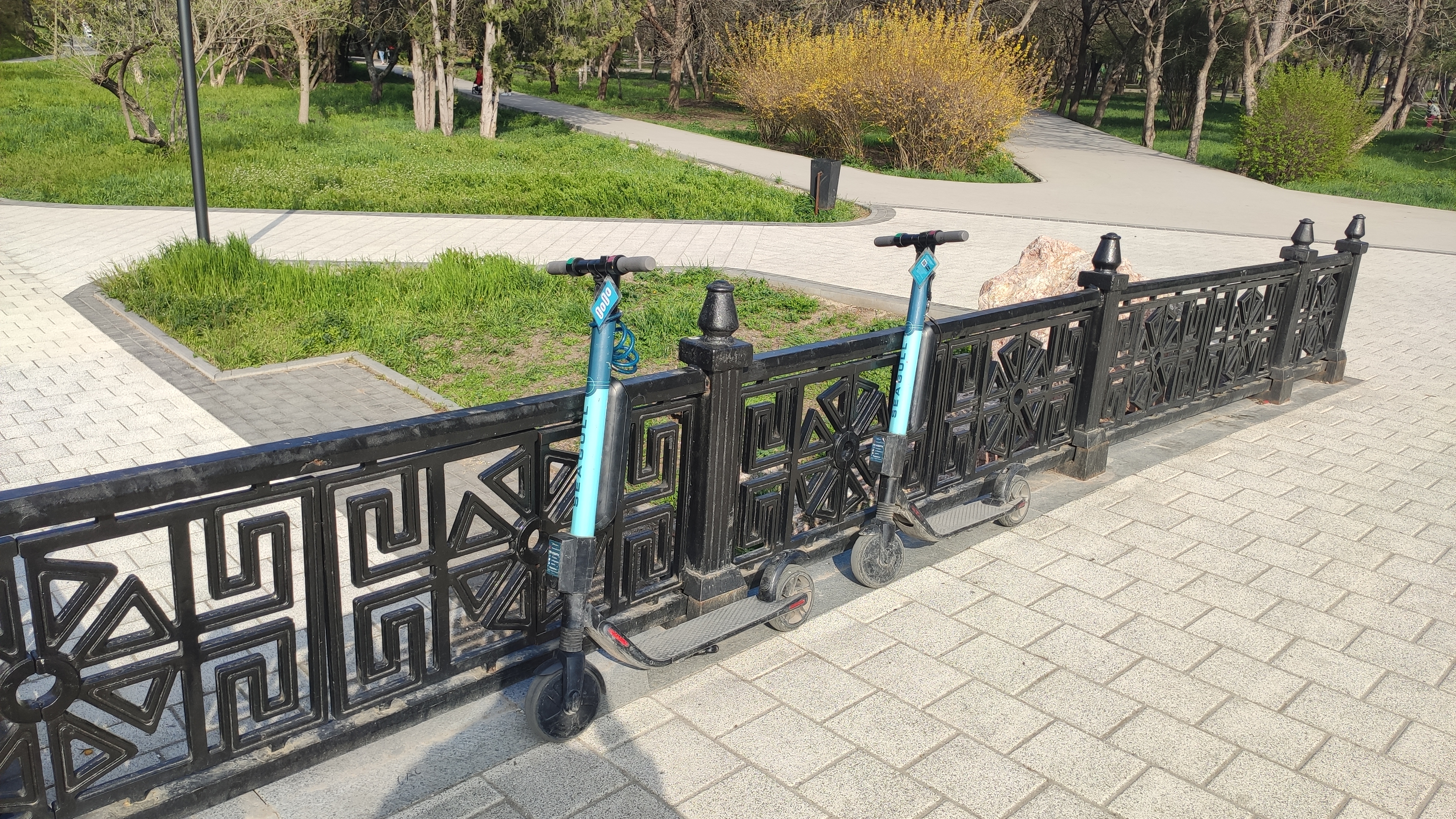 Прокат самокатов в гагаринском парке Симферополя